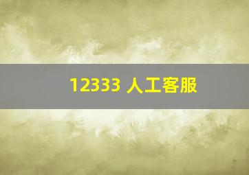 12333 人工客服